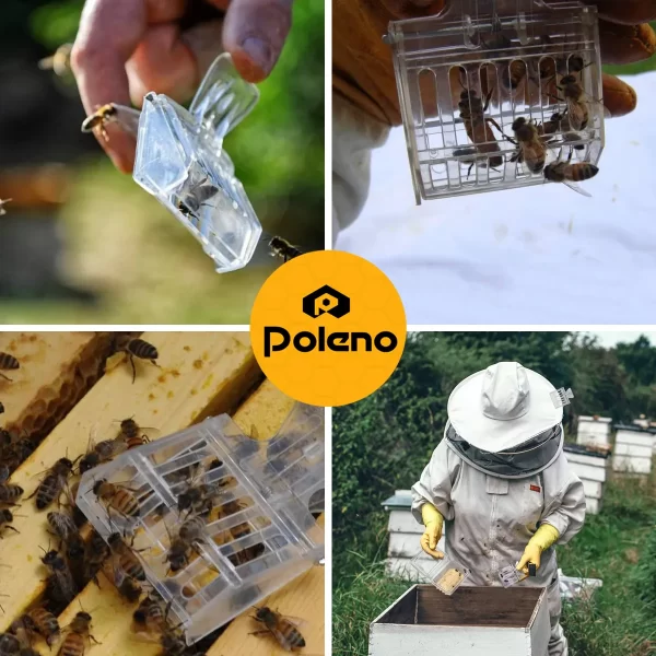 Clip Plástico Atrapa Abeja Reina - Imagen 4