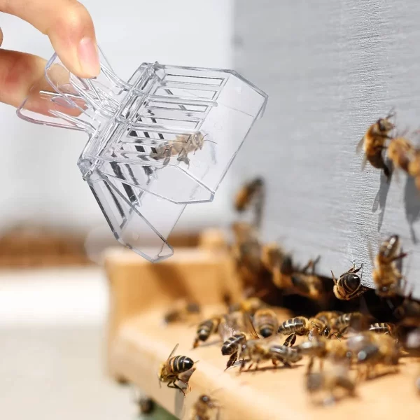 Clip Plástico Atrapa Abeja Reina - Imagen 3