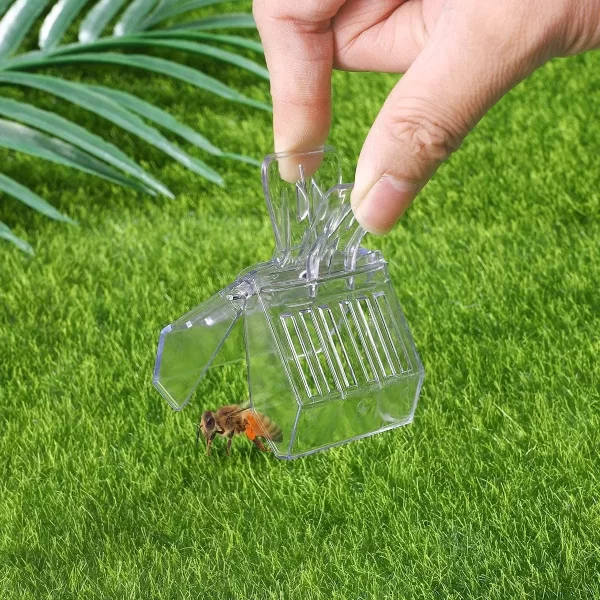 Clip Plástico Atrapa Abeja Reina - Imagen 2